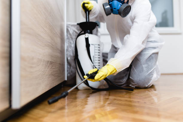 Best Affordable Pest Control Services  in Luxora, AR
