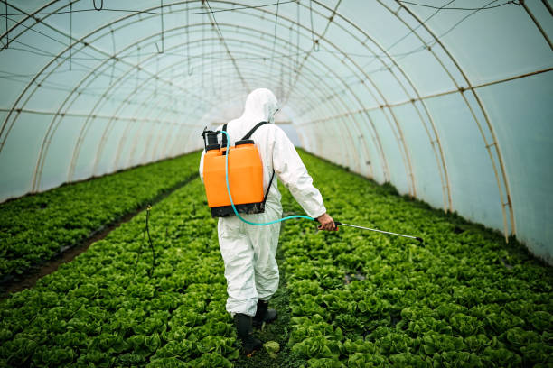 Best Pest Control for Restaurants  in Luxora, AR