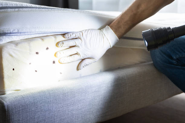 Best Pest Inspection Near Me  in Luxora, AR