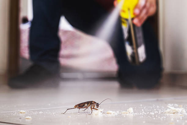 Best Pest Removal Services  in Luxora, AR