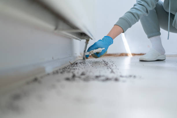Best Mosquito Control Services  in Luxora, AR